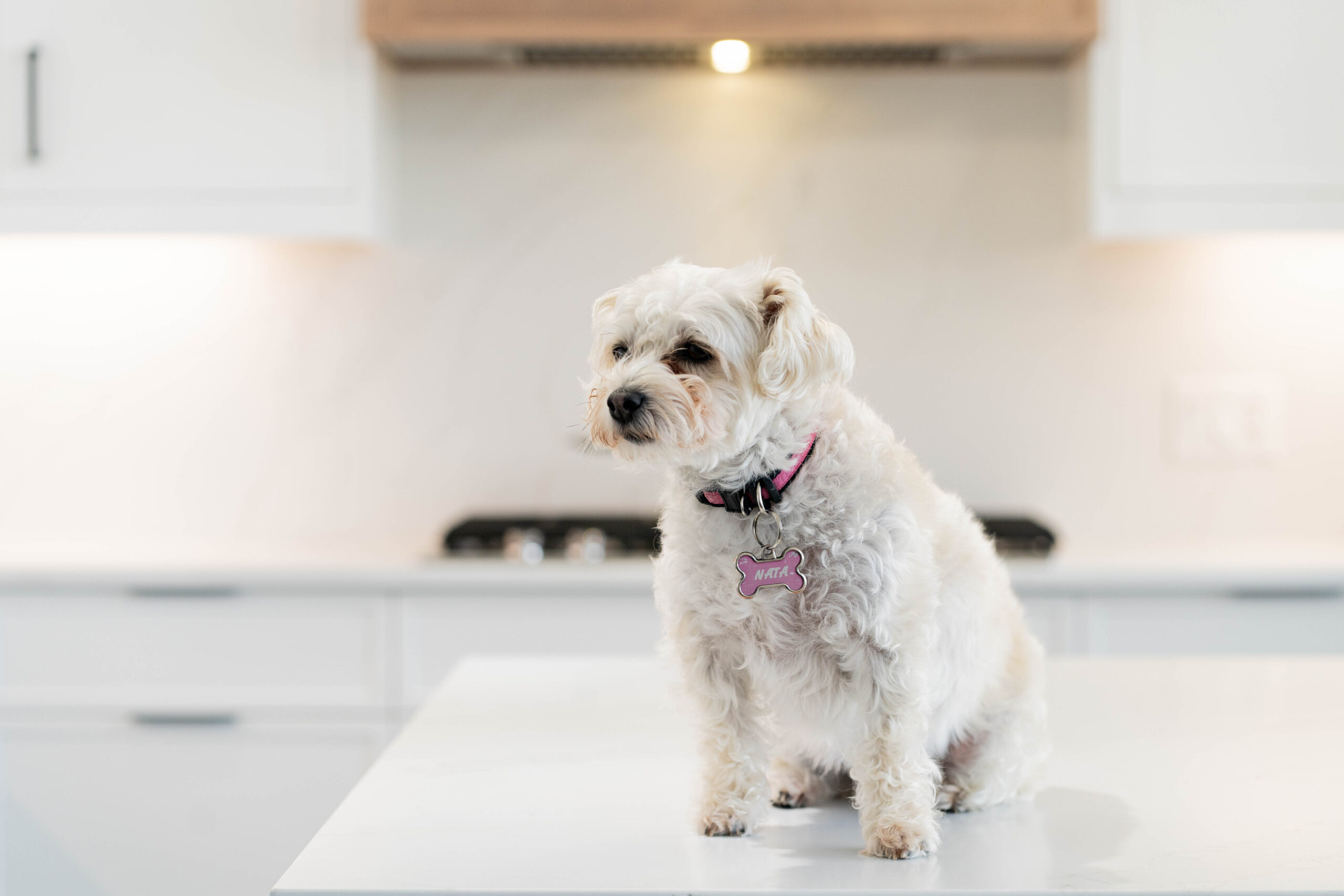 Commercial Porfolio 26