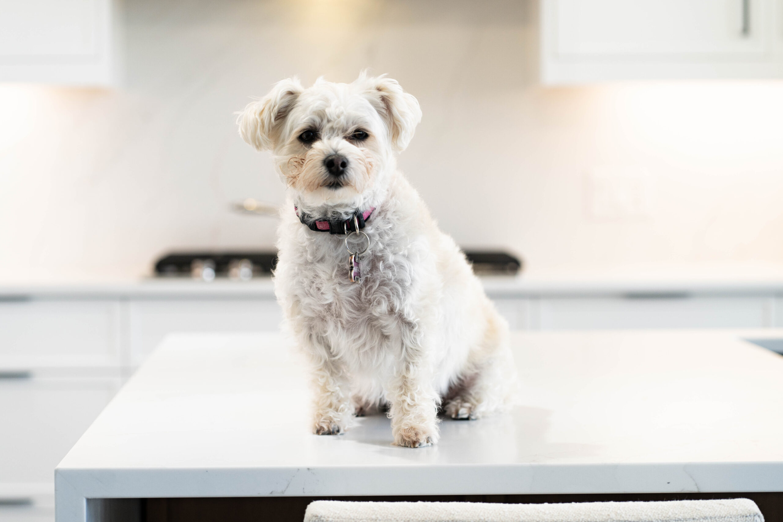 Commercial Porfolio 22